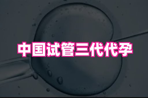 香港助孕网 2