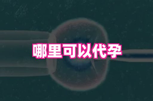 香港助孕网 3